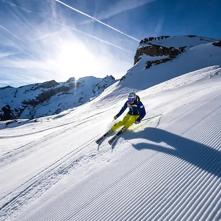 Hotel H+ & Engelberg