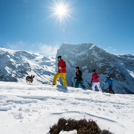 Regina Titlis, A Trademark Collection By Wyndham Engelberg