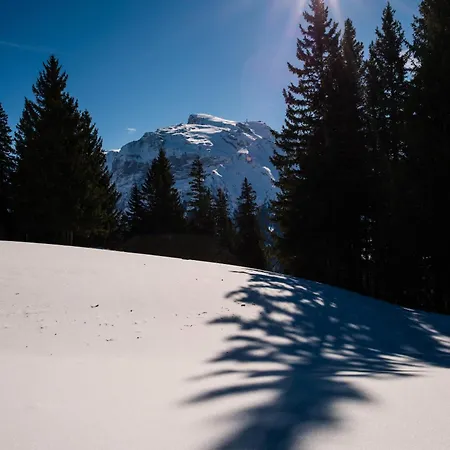 Regina Titlis, A Trademark Collection By Wyndham Hotel Engelberg
