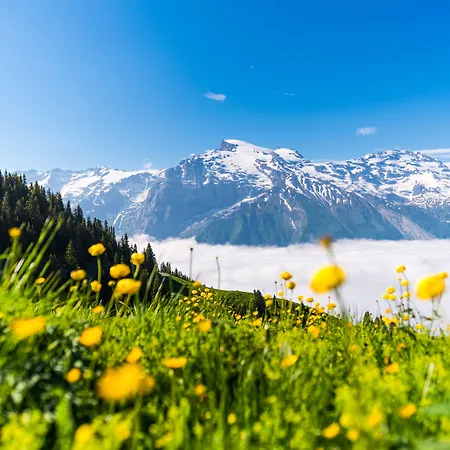 H+ & Hotel Engelberg