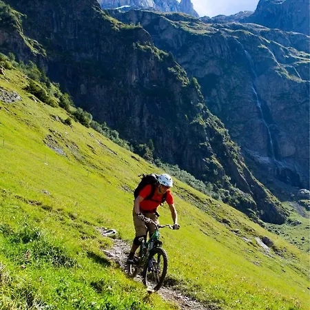 Regina Titlis, A Trademark Collection By Wyndham Hotel
