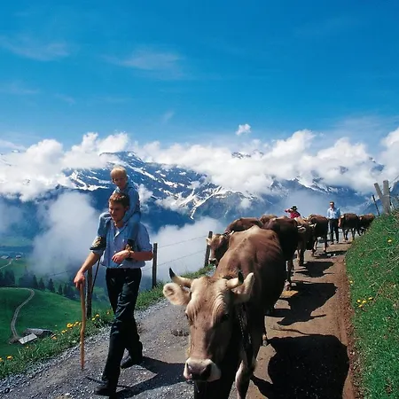 Regina Titlis, A Trademark Collection By Wyndham Engelberg