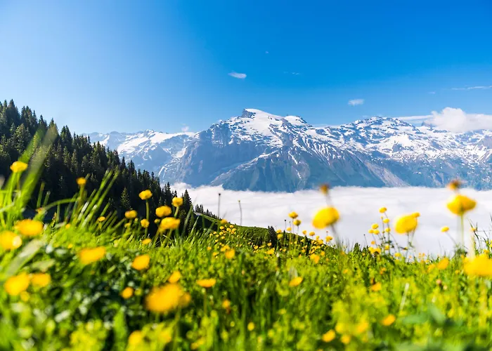 H+ & Hotel Engelberg