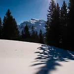 H+ & Hotel Engelberg