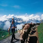 H+ & Engelberg